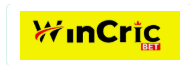 wincric.site Logo